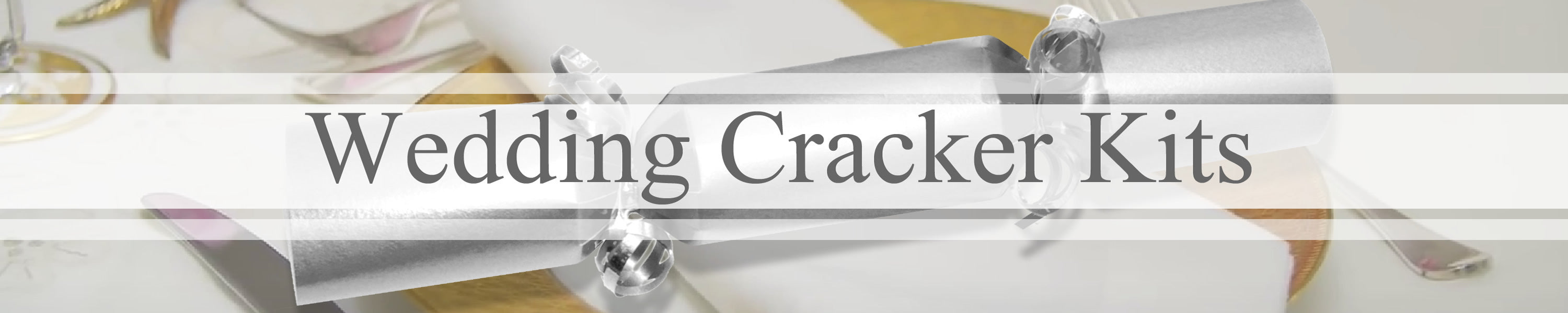 Wedding crackers banner with silver cracker in background
