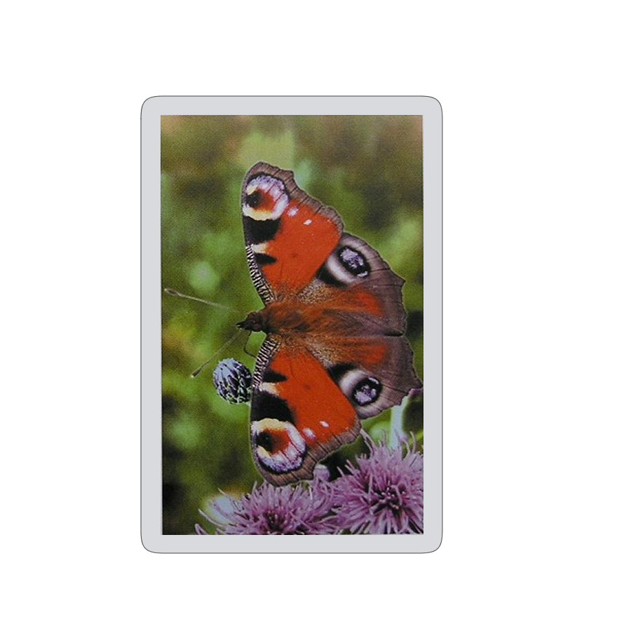Butterfly on a flower Playing Cards