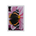 Butterfly on a pink flower Playing Cards