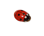 Red ladybug tin toy