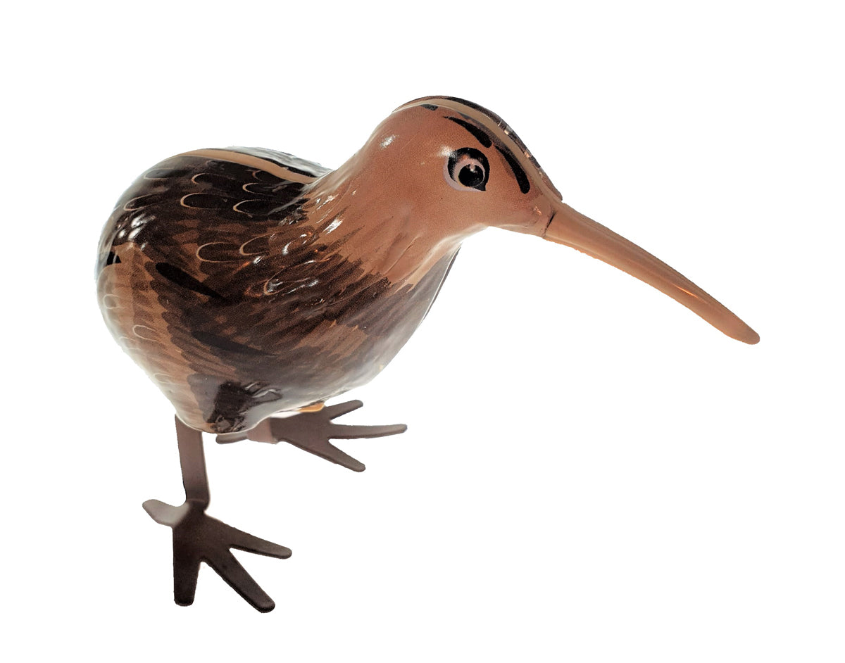 Kiwi Bird Tin Toy