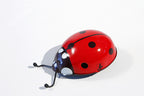 Tin Toy ladybird