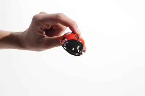 Ladybird clicker in someone's hand