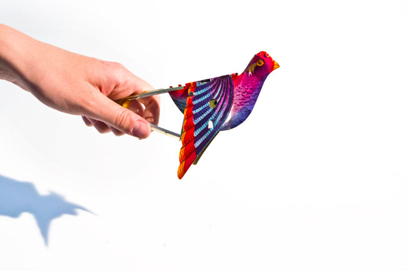 Colourful whistling bird tin toy